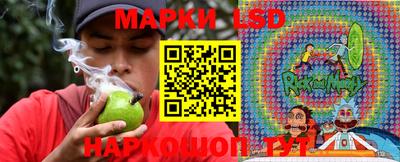СК Моздок