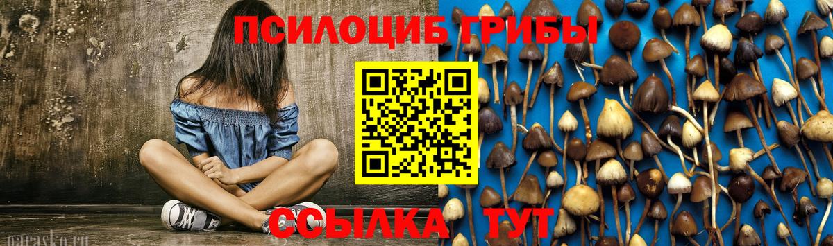Псилоцибиновые грибы мухоморы  Вход с VPN  Галлюциногенные грибы мицелий  Чита 